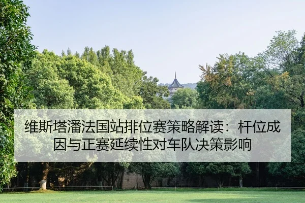wei-si-ta-pan-fa-guo-zhan-pai-wei-sai-ce-lve-jie-du-gan-wei-cheng-yin-yu-zheng-sai-yan-xu-xing-dui-che-dui-jue-ce-ying-2-542.jpg